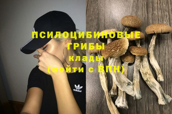 амф Зеленокумск