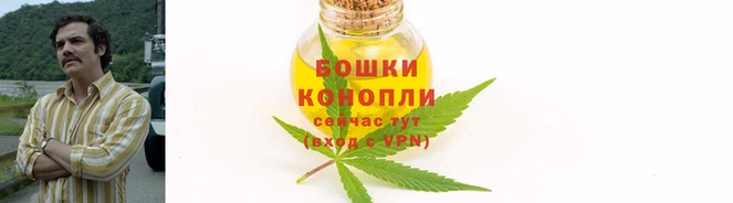 дмт Зеленодольск