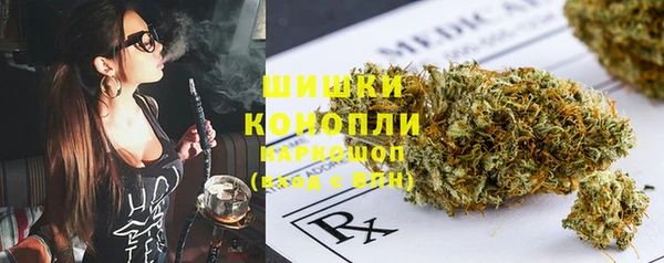 амф Зеленокумск
