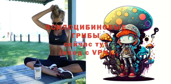 дмт Зеленодольск