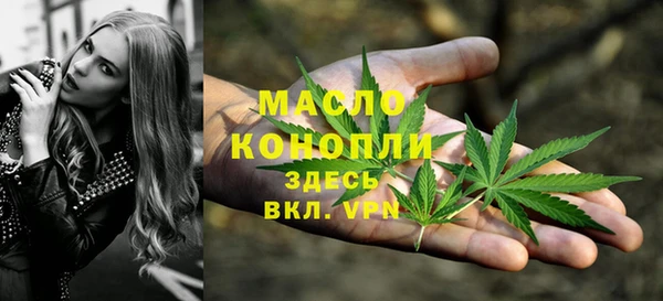 дмт Зеленодольск